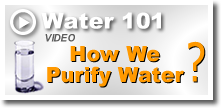 How to purify water -Water 101